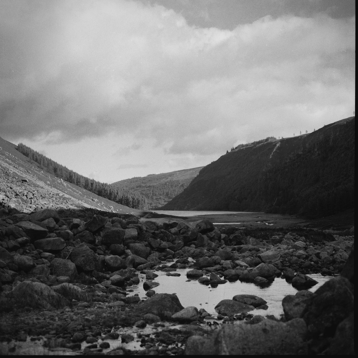 deyboncrow's tweet photo. @DylanCalluy Here some of my work. #ilfordhp5 https://t.co/bd9cY1VYfi