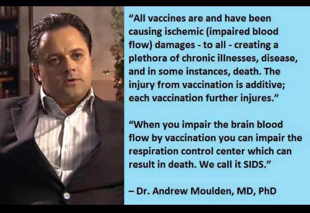 Tommy Tree tweet media