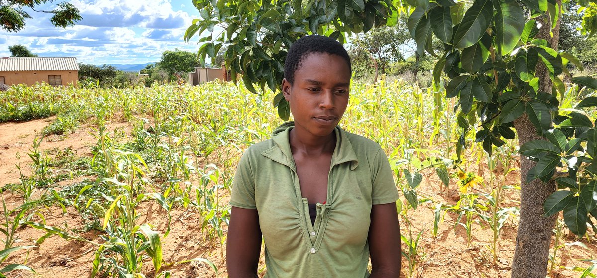 .<a href="/MoHCCZim/">Ministry of HealthZW</a> w/ <a href="/UNICEFZIMBABWE/">UNICEF ZIMBABWE</a> w/ support from <a href="/NutritionIntl/">Nutrition International</a> &amp; #HDFZim🇮🇪🇸🇪🇪🇺🇬🇧are supporting Nutrition &amp; health activities w/ a focus on emergency response &amp; the accelerated community level Vitamin A supplementation. In Nyanga, Rita Tinarwo says: "Vitamin A matters for my child."