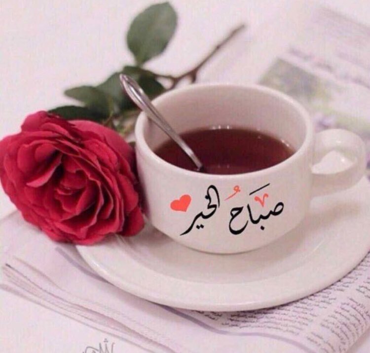 hmaada17's tweet photo. @t90rz صباح العافية عليكم https://t.co/G47r3U5Um3