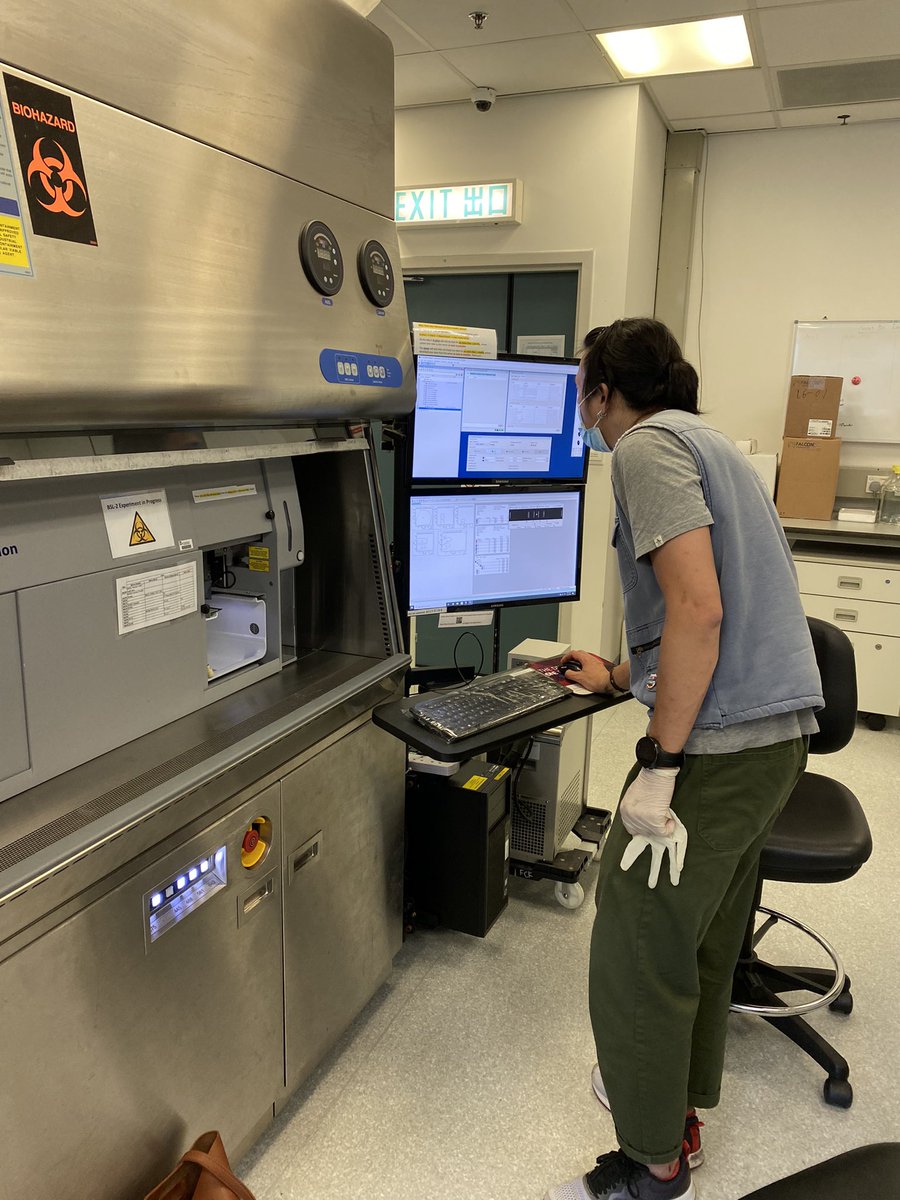 ocean_roisin's tweet photo. After a brief hiatus (thanks HK 5th wave 🥴) we’re back in the lab collecting data! FISH-ing and flow-cytometering with @Wilson_WZY 🔬

 @stable_isodope #AcademicChatter #phdlife #Symbiosis #Ecology https://t.co/sprPDhEV7X