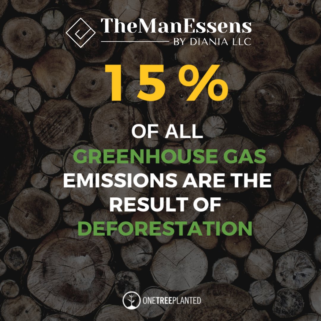 themanessens's tweet photo. At TheManEssens every item sold funds the restoration of forests, the creation of habitat for biodiversity, and a positive social impact around the world.
#plantatree #planttrees #sustainabilitymatters #menfashion #environmentalyfriendly #noplanetb #savetheplanet https://t.co/gM7oLXhLDo