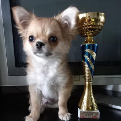 rubyjames751's tweet image. #NewProfilePic