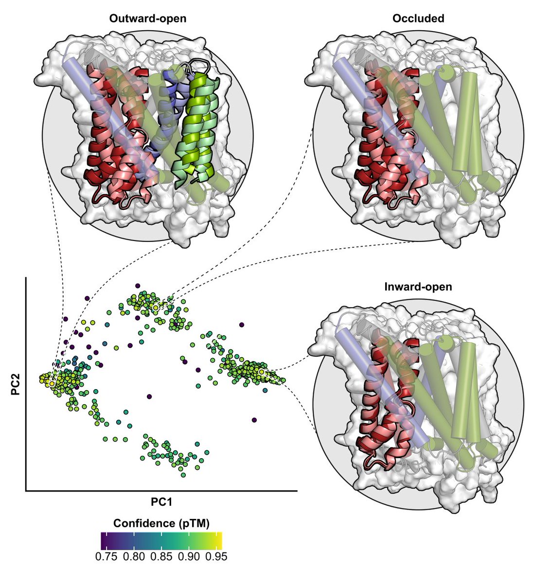 DdelAlamo's tweet photo. A preprint of my PhD research in @Mchaourablab and @MeilerLab is available to read on bioRxiv. We used #EPR #DEER to study the #APC transporter GadC. Experiments were designed to distinguish between multiple conformations predicted by #AlphaFold. https://t.co/aK37CA9JWt