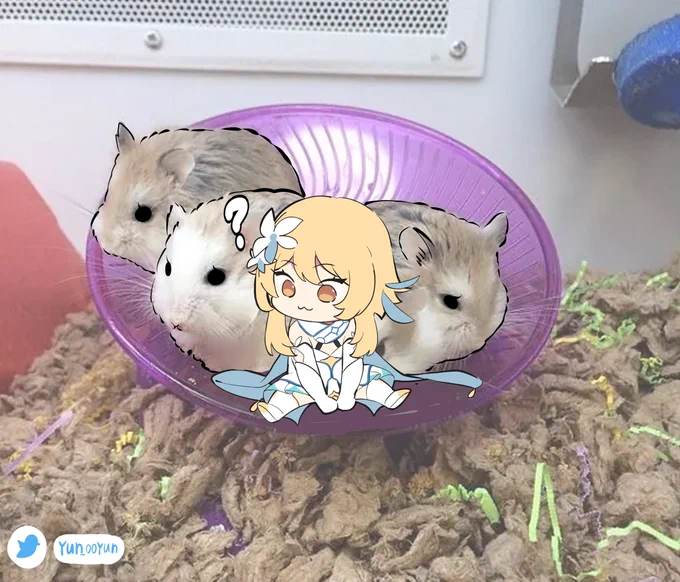 여행자 