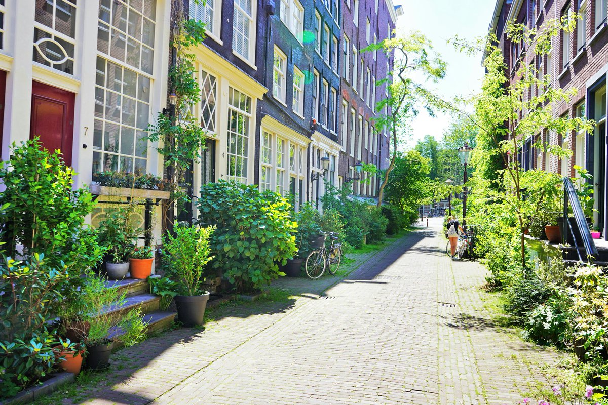 Ook al is de straat heel smal, als bewoners willen, is een groen straatje altijd mogelijk!🥰🌿 Het geeft zoveel meer sfeer en goed voor insecten en vogels in de stad!🐝🐦

Fantastisch hoe elke kleine ruimte benut is voor groen.💚

#Inspiratiebeeld 125: #Natuurinclusief