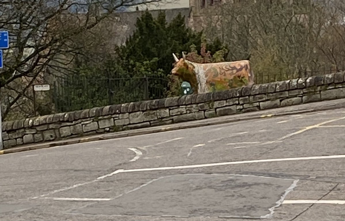 Look who’s “moooved” in across the road?