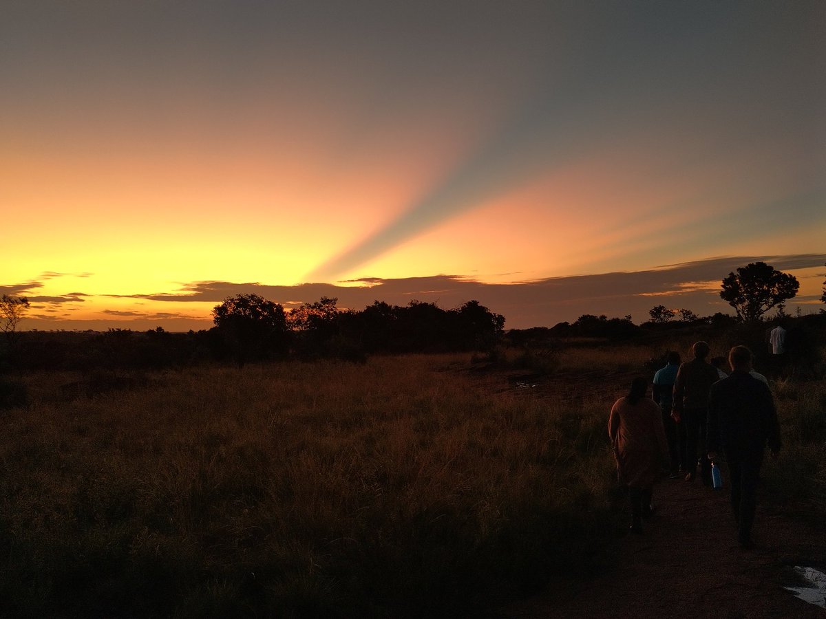 Tom Powell tweet media