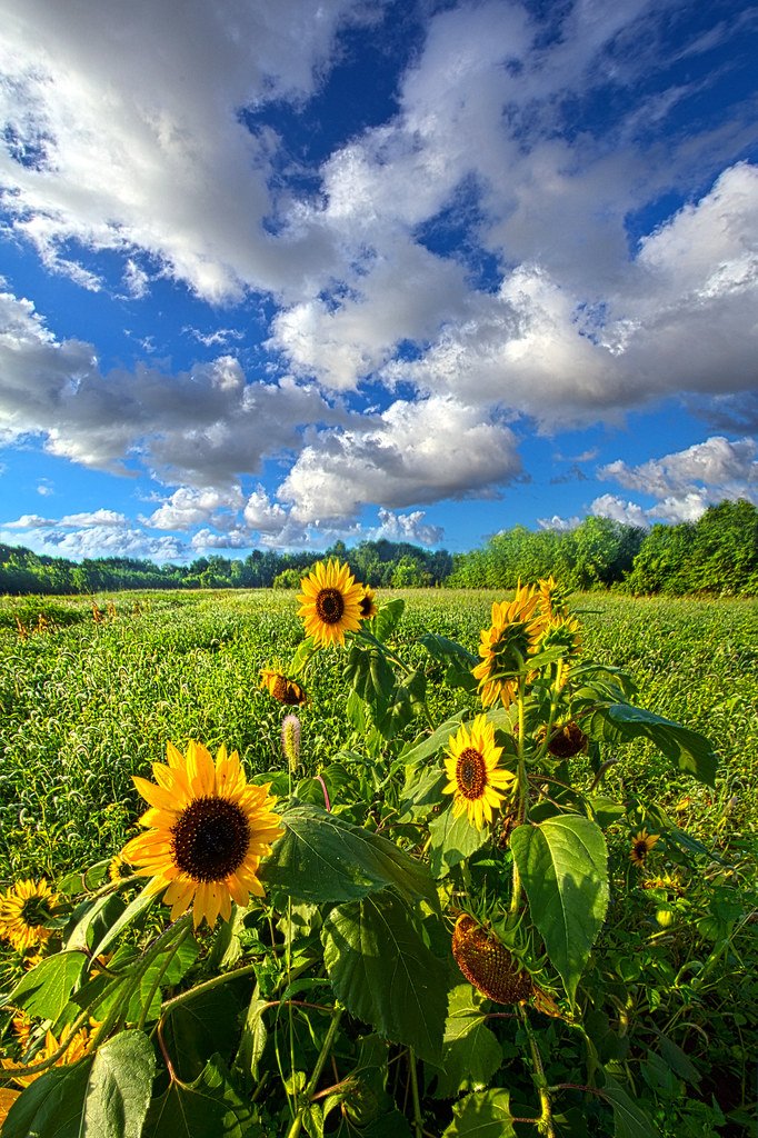oliviajaayy's tweet photo. Do have a bright thursday friends. https://t.co/9RLHxpEsK9