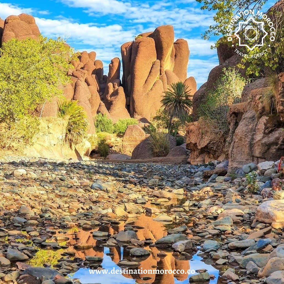 destinationmoro's tweet photo. Explore the amazing scenery of nature in the exciting bustling cities of Morocco! Aren't the volcanic rock formations of Tislit Gorges at Taliouine absolutely awe-inspiring?
#discovermorocco #travelmorocco #gorges #tislit #marrakech #rock #marrakechtravel #morocco #moroccotravel https://t.co/4NaFRyLNxK