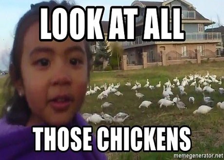 BTSTheEternal7's tweet photo. When Armys are desperate for a comebock. 💀🐔🐔 #BockBockBTS https://t.co/CuAyOhbPLu