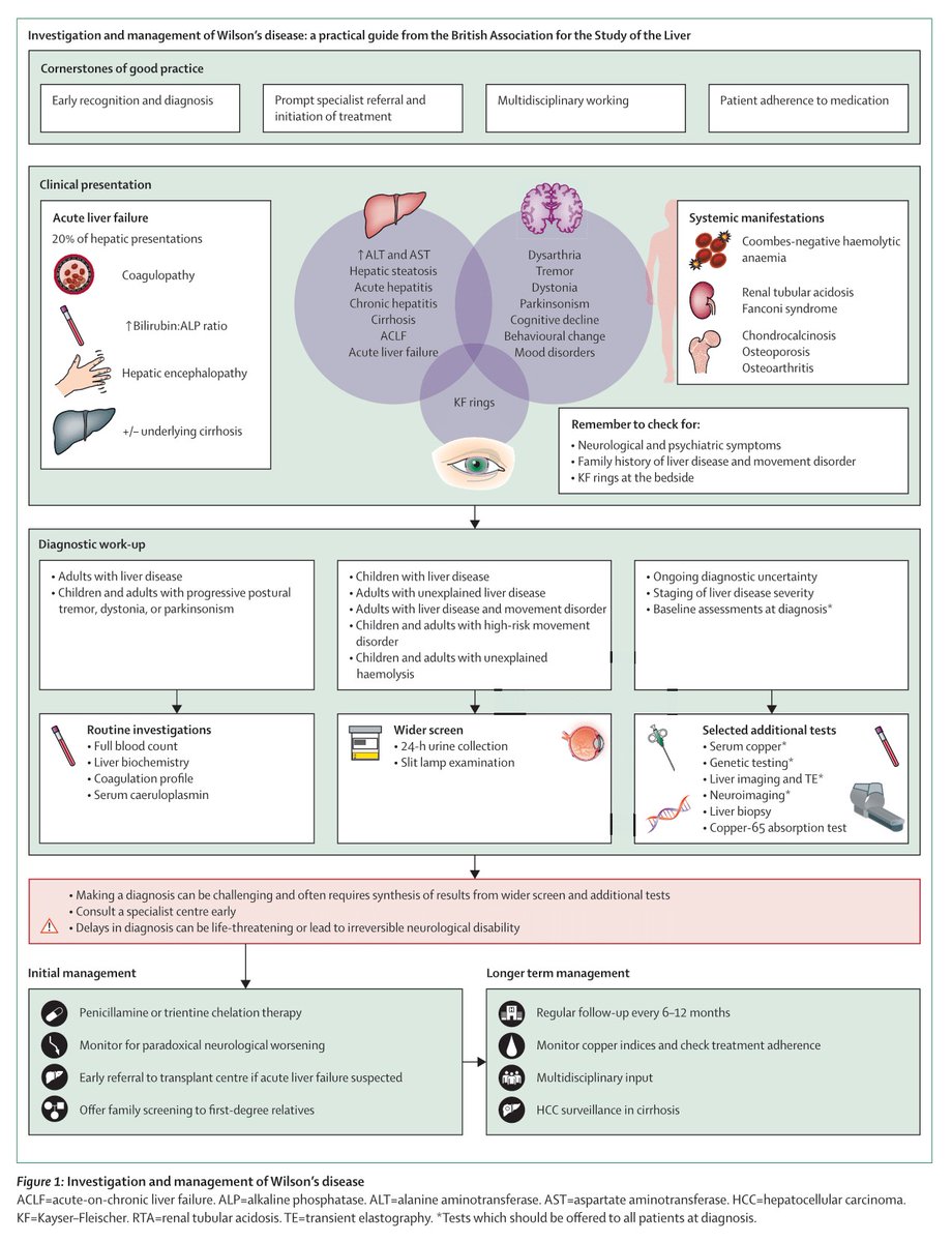 Tom Marjot tweet media