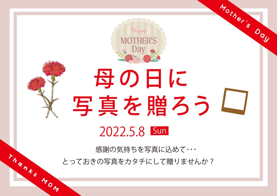証明写真 写真プリントのコイデカメラ アリオ市原店 証明写真 写真プリントはコイデカメラ