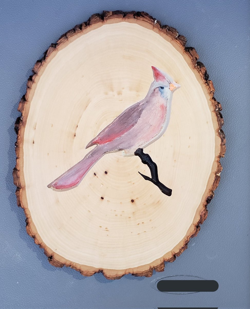 BitSizedBuilds's tweet photo. A female cardinal commission! A rare request that was fun to do! #cardinal #bird #handpainted #female #woodround #art https://t.co/BTaNON8S9d