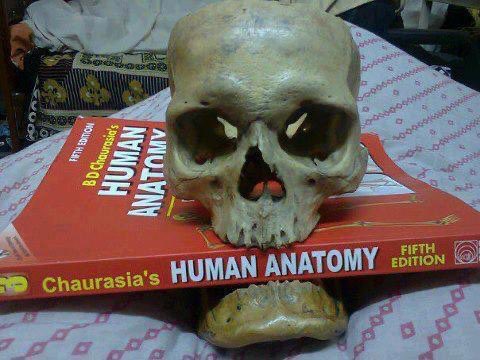 Medical_Nomad_'s tweet photo. 1st year memories #MedTwitter https://t.co/tATpFNXb2c