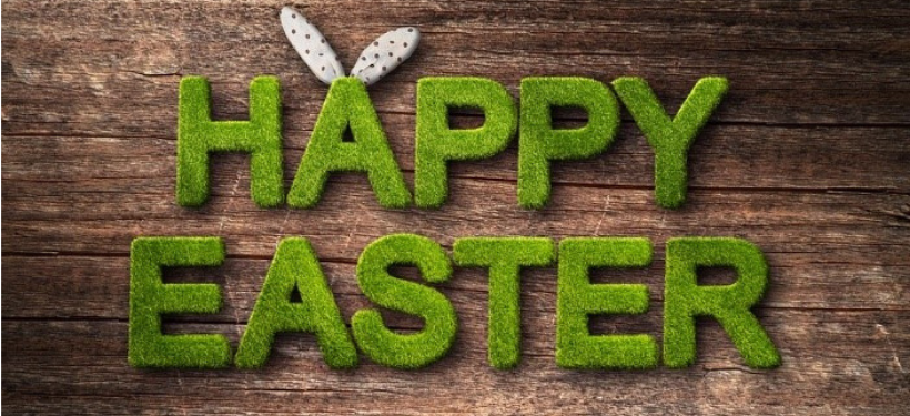 Easter is around the corner. So, you must have already started preparing your house for the egg hunt but have you thought about decorating your fence? Read more here... #Easter #FenceDecoration #EasterEggs #EggHunt lahabrafence.com/blog/tips-to-d…