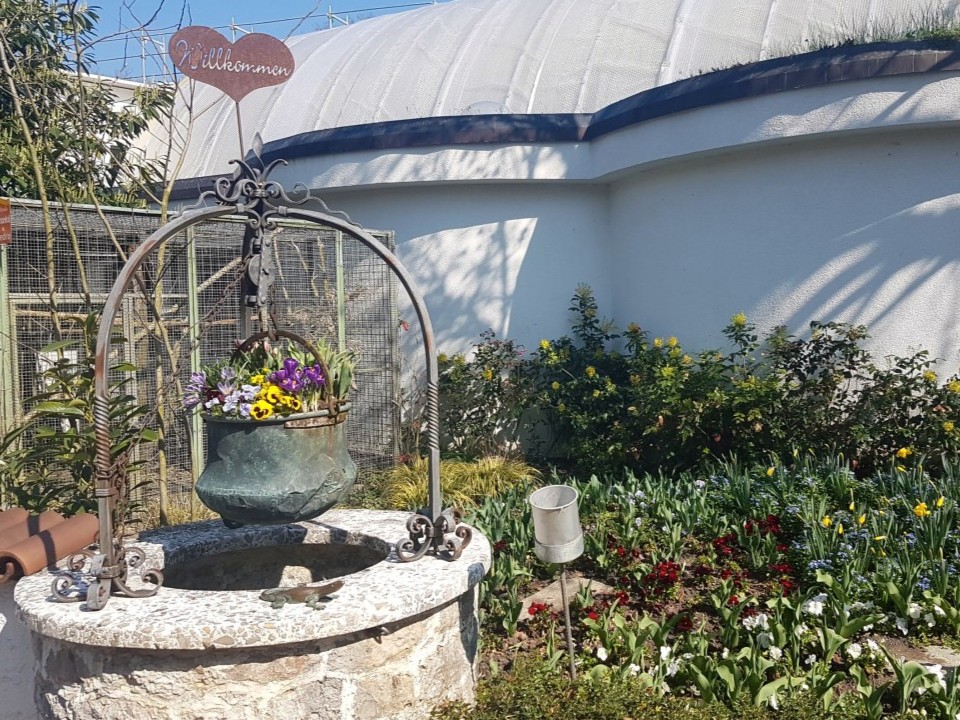 Ab heute bis 11. Mai 2022 auf unserer kulinarischen Weltreise: Frühlingserwachen. Kommen Sie vorbei! Die Speisekarte finden Sie unter folgendem Link: florida.ch/assets/Uploads…