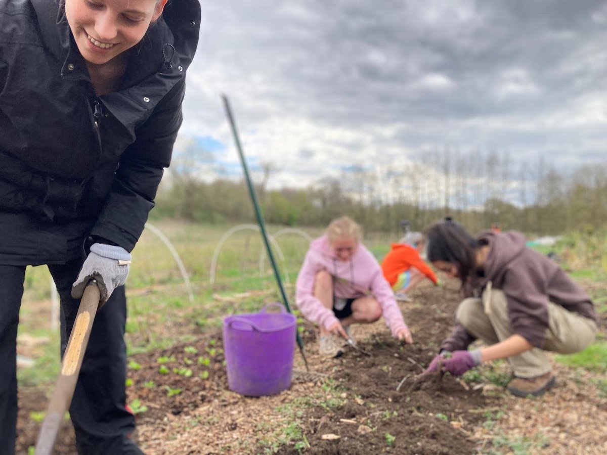 Farm_Share's tweet photo. Why not volunteer with #norwichfarmshare ? #volunteernorwich #voluntarynorwich #volunteeringinnorwich https://t.co/F8mndMXkj3