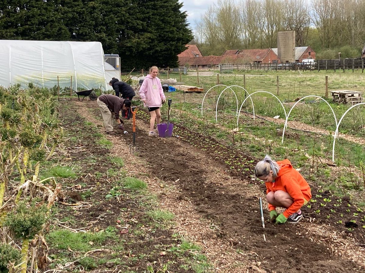 Why not volunteer with #norwichfarmshare ? #volunteernorwich #voluntarynorwich #volunteeringinnorwich