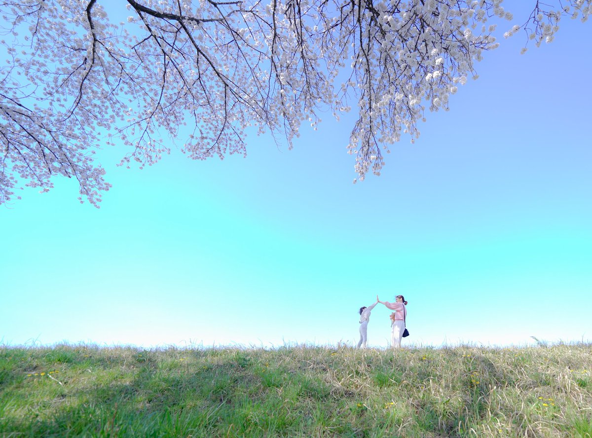 ハイタッチ🌸 #高崎 #α7III #sel14f18gm #私の推しソニー #これソニーで撮りました #tokyocameraclub