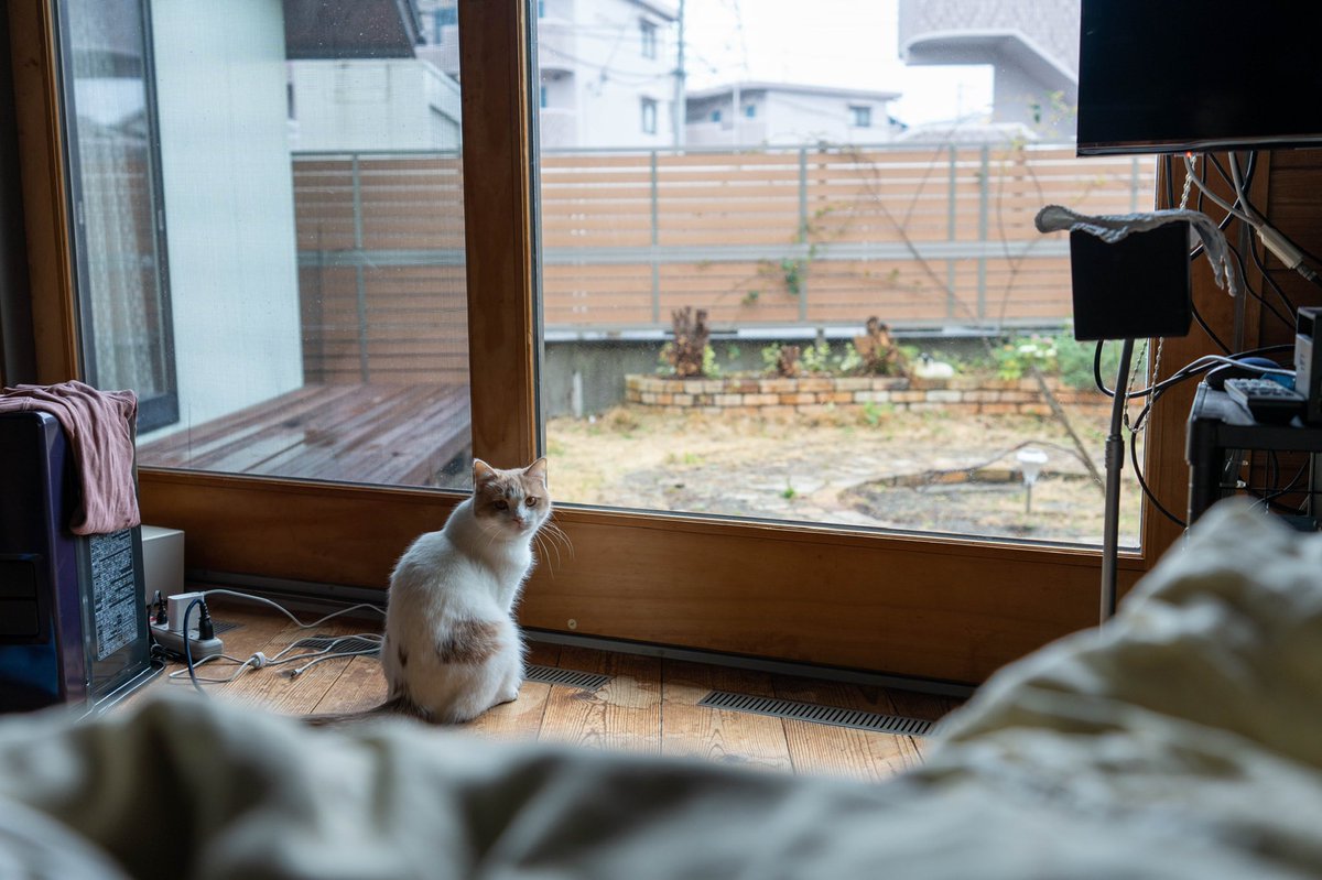 daiki_daiku's tweet photo. https://t.co/lsw0MCfQcH