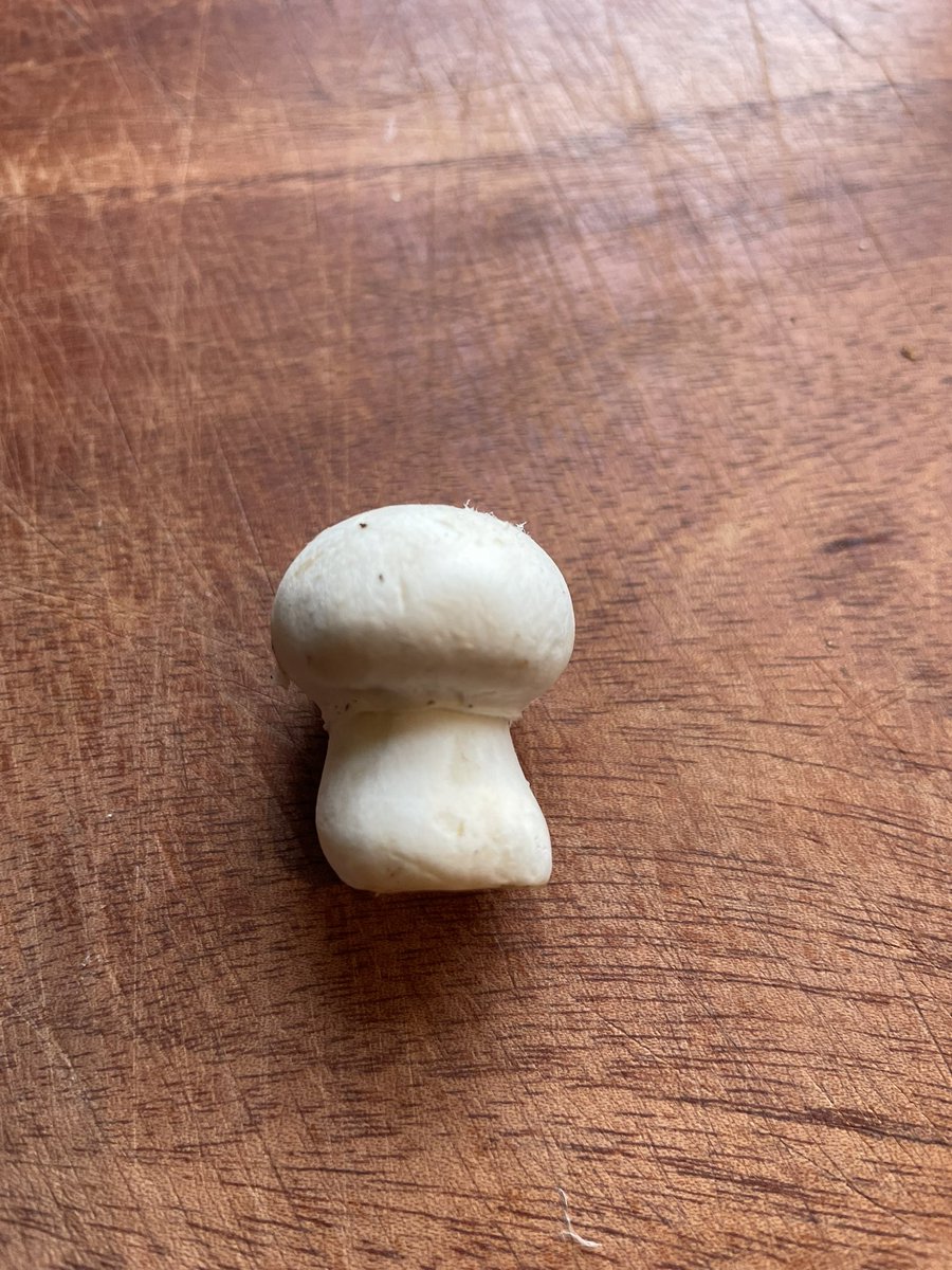 In a world that’s increasingly fraught can we just take a moment this morning to appreciate the beauty of this breakfast mushroom