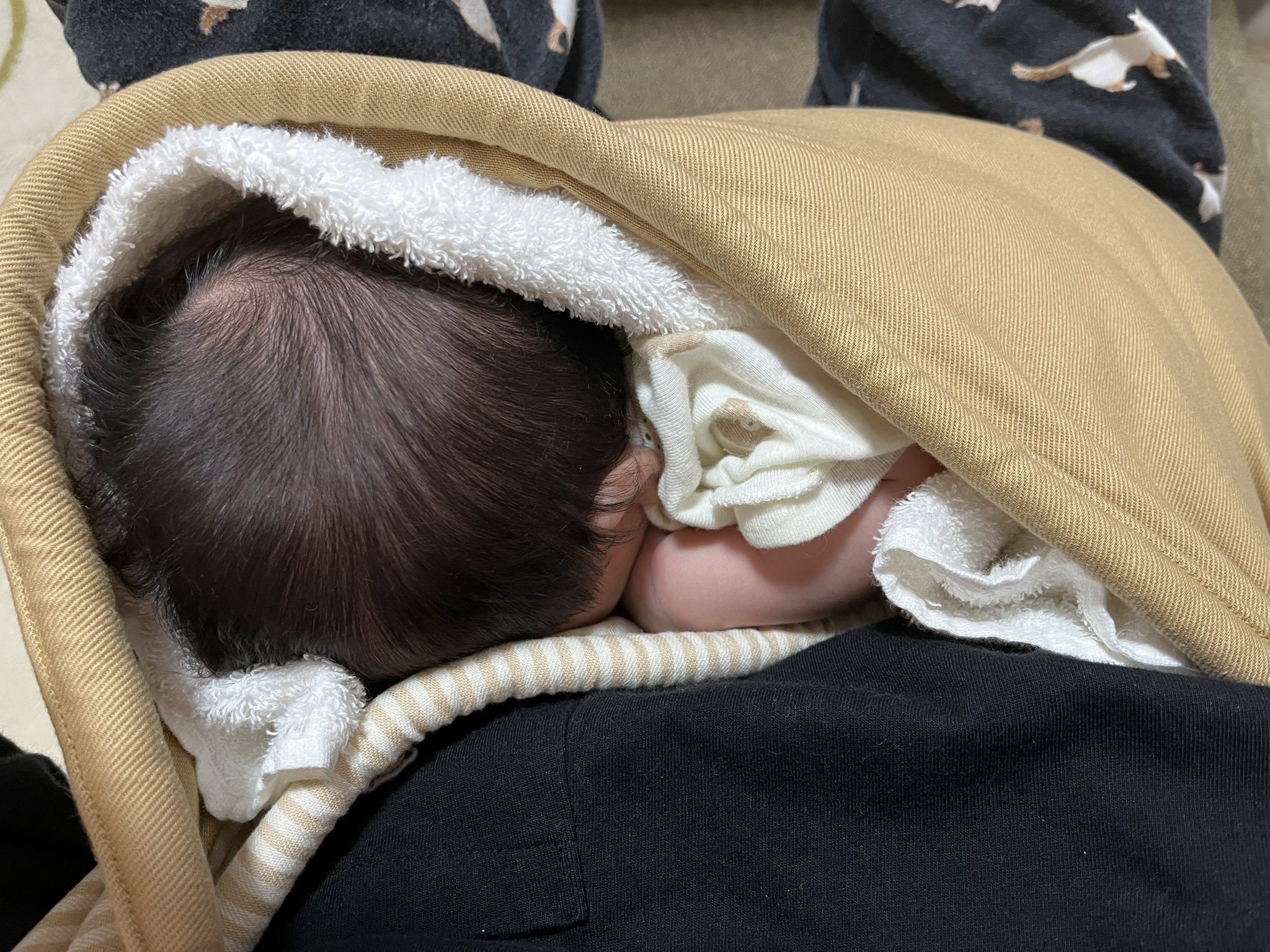 ぼんちゃん Bon 0616 Twitter