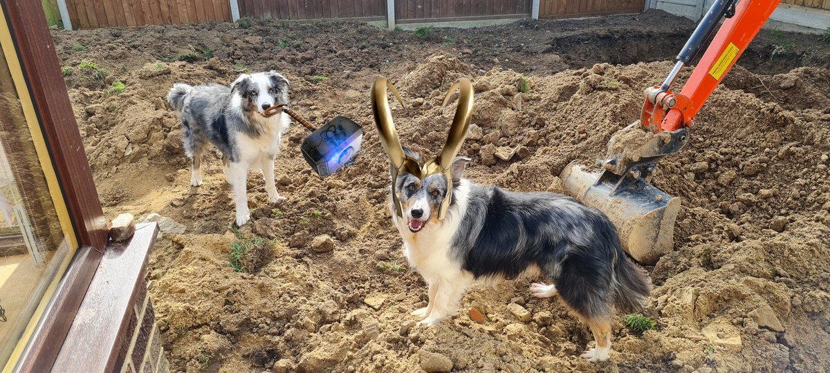 BCBruvz's tweet photo. @ZombieSquadHQ #ZSHQ
Pawtrolling da garden dig site to make dem peskay zombie whiffs don't move in. https://t.co/7qBrtHPR4r