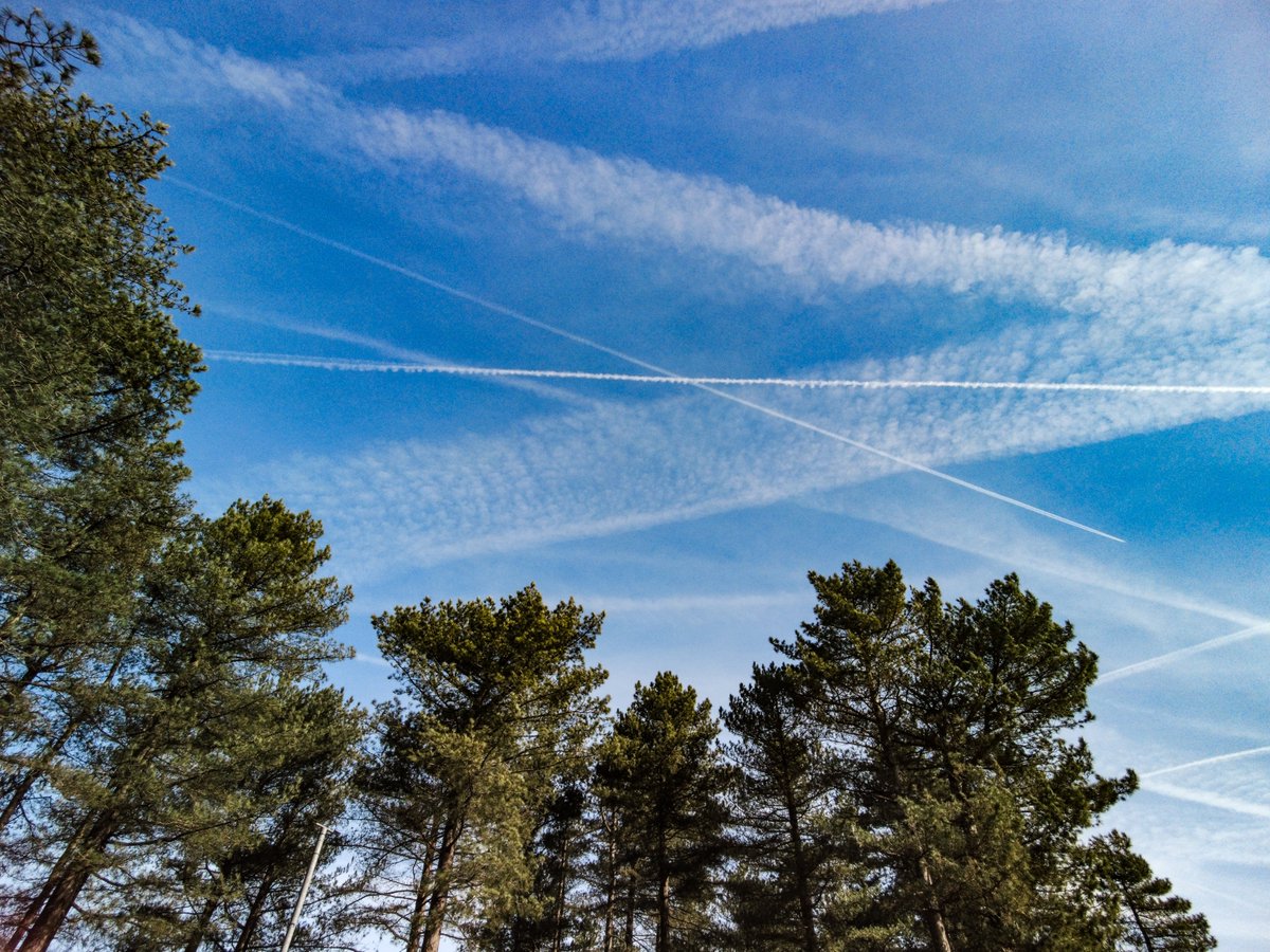 OpenTruthSeeker's tweet photo. @chez8080 Yes , Chemical Party out in force overnight! Aluminium particulates, barium, strontium oxide, sulfates and now lithium from the skies are found in soil, food and water. Like bugs and bees we suffer the same. The slow kill agenda has been going on for decades and ramping up https://t.co/KBlTc68mEE