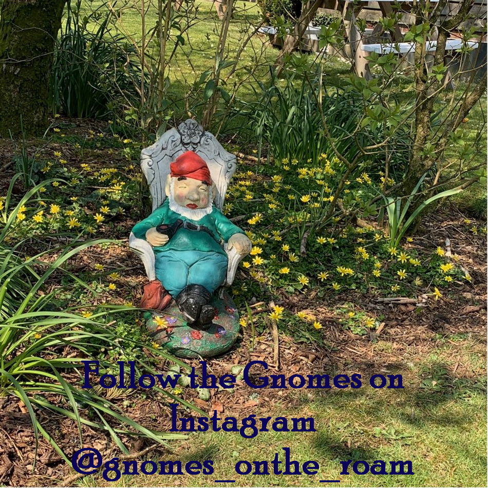 We have exciting news!
Now that the gnomes have come out of hibernation they've become TV stars! You can see them on This Morning today at 10am then on Jeremy Vine at 10.10am <a href="/JeremyVineOn5/">Jeremy, Storm & Vanessa On 5</a> <a href="/thismorning/">This Morning</a> 
#gnomesontheroam #gnomes #gardencentrebideford #northdevon #thismorning