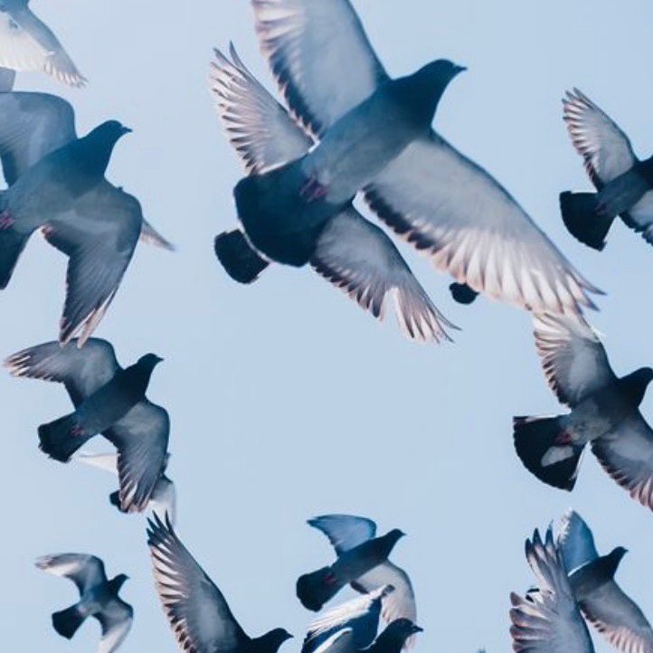 Douglas Stuart tweet media