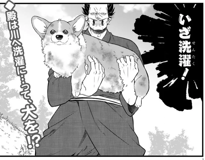 ✨本日更新✨  コワモテな殿とほがらかな犬の 天下泰平主従暮らし🍵  『殿と犬』西田理英 comic-polaris.jp/tonotoinu/  妙な🐕動きしたり カッコ良い動きしたり ❗️犬🐶大活躍❗️な1話です😆  ⏩アンケートや感想つぶやき(#殿と犬)もお待ちしています🍵  