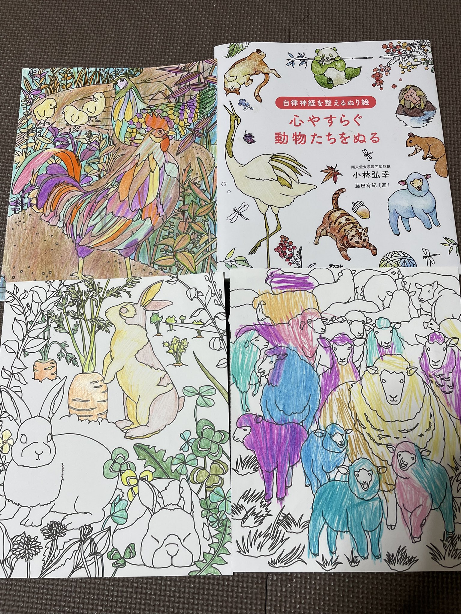 小川晶子 著者 ブックライター 家族みんなで楽しんでます 自律神経を整えるぬり絵 心やすらぐ動物たちをぬる 寝る前のひとときに もくもくとぬり絵をして 何日かきけて完成させたにわとりは小2長男の力作です T Co 8ajnme3sxx T Co