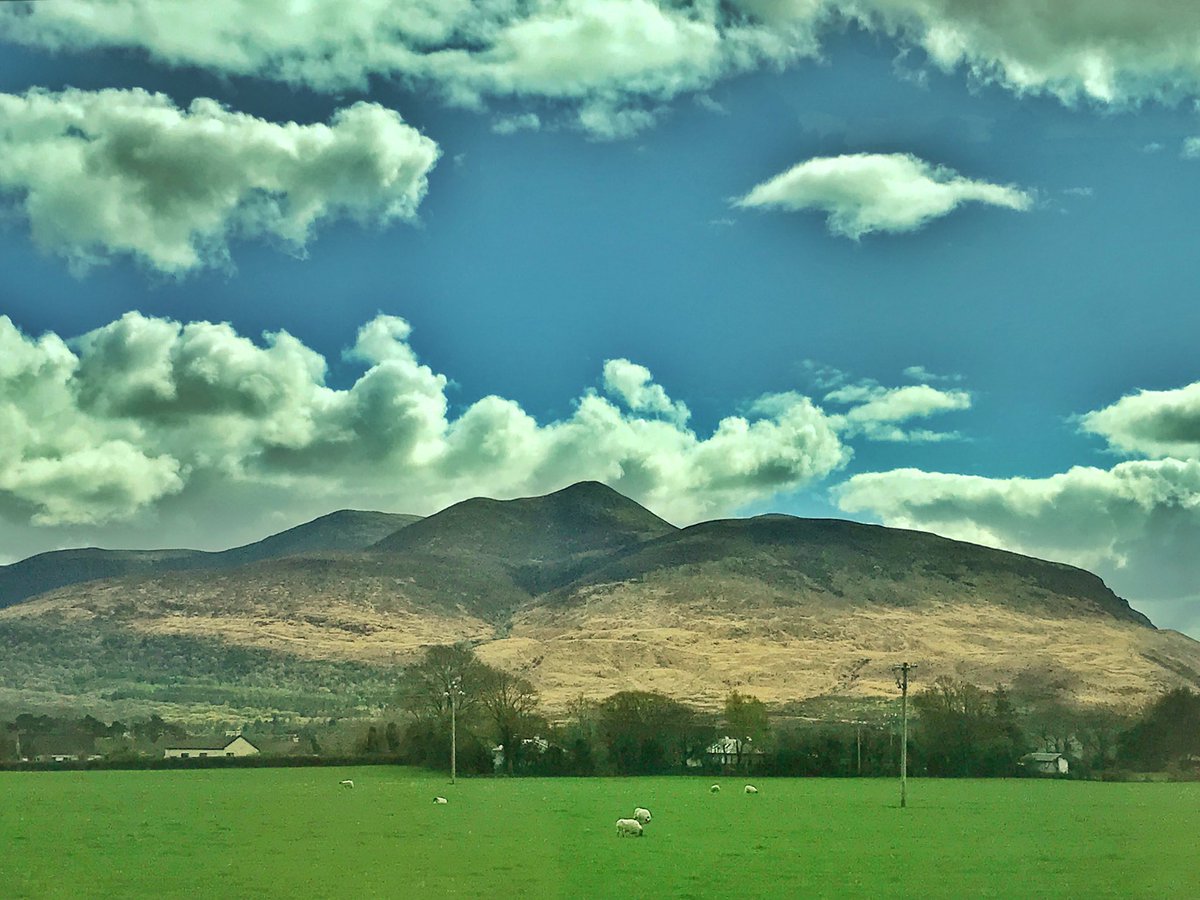 todayInIreland's tweet photo. Good to be back on the Iveragh peninsula! What a perfect day for the Ring of Kerry journey to Waterville from Killarney. Here’s a few shots along the #ReeksDistrict specifically.
#irishweather #tii279A #279A bus @Buseireann https://t.co/sj3gCXOMnS