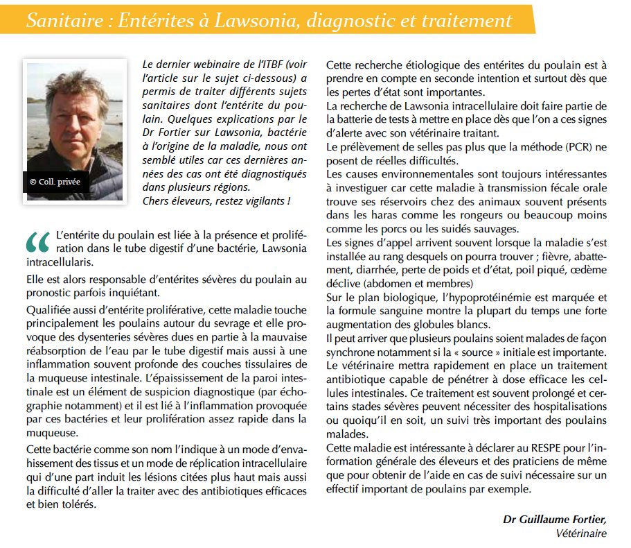 Fedeeleveurs's tweet photo. 📖 𝐂𝐎𝐔𝐑𝐑𝐈𝐄𝐑 𝐃𝐄𝐒 𝐄𝐋𝐄𝐕𝐄𝐔𝐑𝐒 𝐃𝐄 𝐌𝐀𝐑𝐒 𝟐𝟎𝟐𝟐 📖
👉 Dans ce numéro de mars, retrouvez l'article de M. Guillaume Fortier, vétérinaire-conseil de la Fédération, sur la Lawsonia intracellularis.
🌐https://t.co/RV5D7mjqia
#VivelElevageFrancais #BreedInFrance https://t.co/mT77RgIC9K