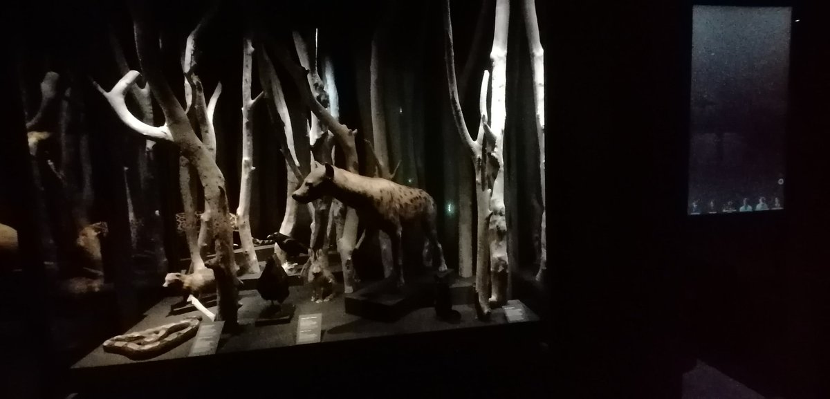 Visite presse de l exposition #magique @mdc_confluences Magique offre un panorama des pratiques magiques,
à travers l’histoire et les cultures. L’exposition
questionne la magie sous l’angle d’un fait de société et le fait par une scénographie etonnante #lyon #culture