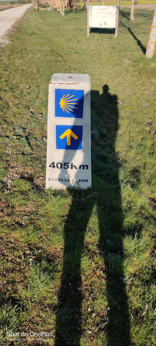 CRYIre's tweet photo. Fantastic news this morning from Christy Dunne. He's reached the halfway mark on his challenge.
405km remain.
#ChallengeOn
#RememberingAndrew 💙 https://t.co/h0Y5mCzPXE
