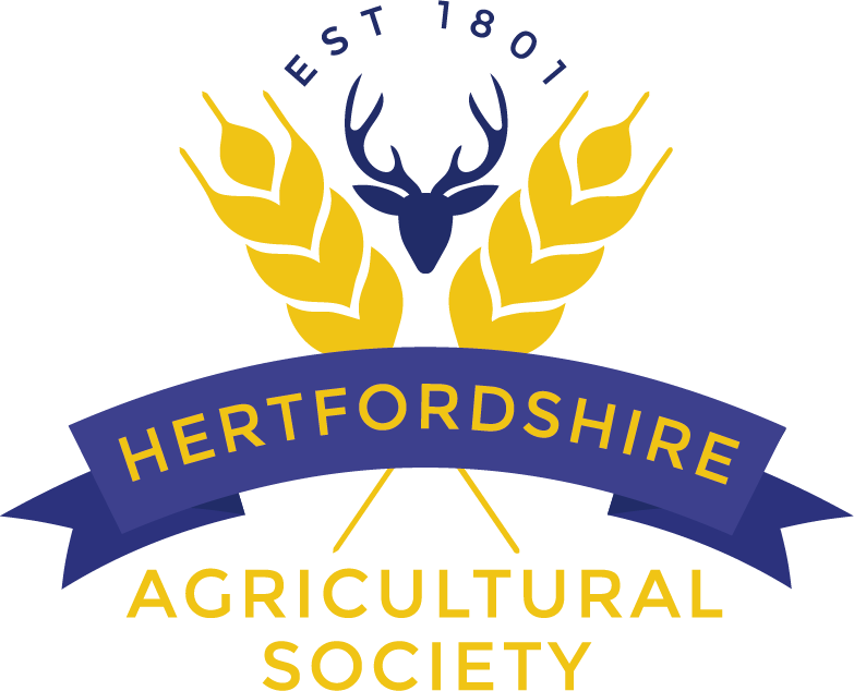 Showing Scene tweet media