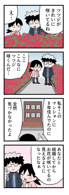 夫と結婚して変わったこと

#ゆうちけ散歩 #漫画が読めるハッシュタグ #日記 