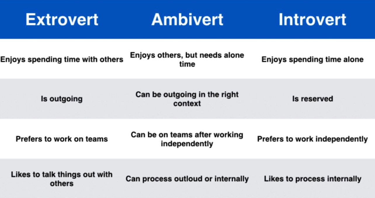 What does extrovert mean deals