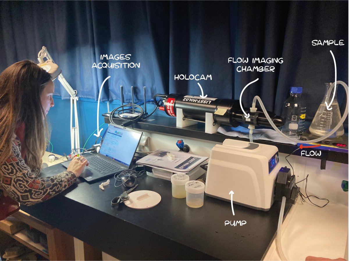 BlueRevProject's tweet photo. 📍 Work in progress 
Various tests are carried out in the laboratory to develop protocols for processing  the samples with the Holocam. 
The objectives : define the best images acquisition protocol for meiofaunal samples.
#bluerevproject #holographic #LISST https://t.co/dQingWc8DF