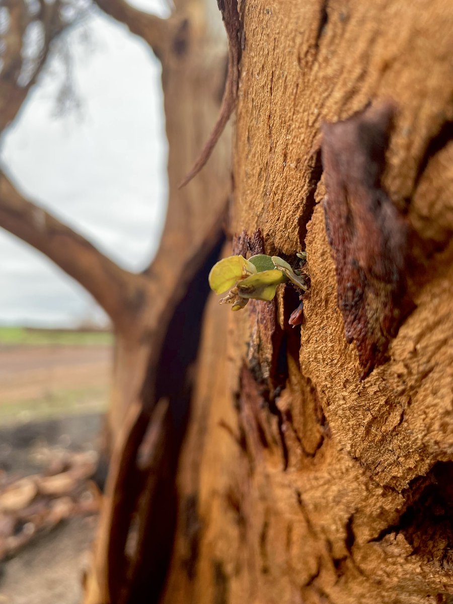 🌾Cindy Stevens tweet media