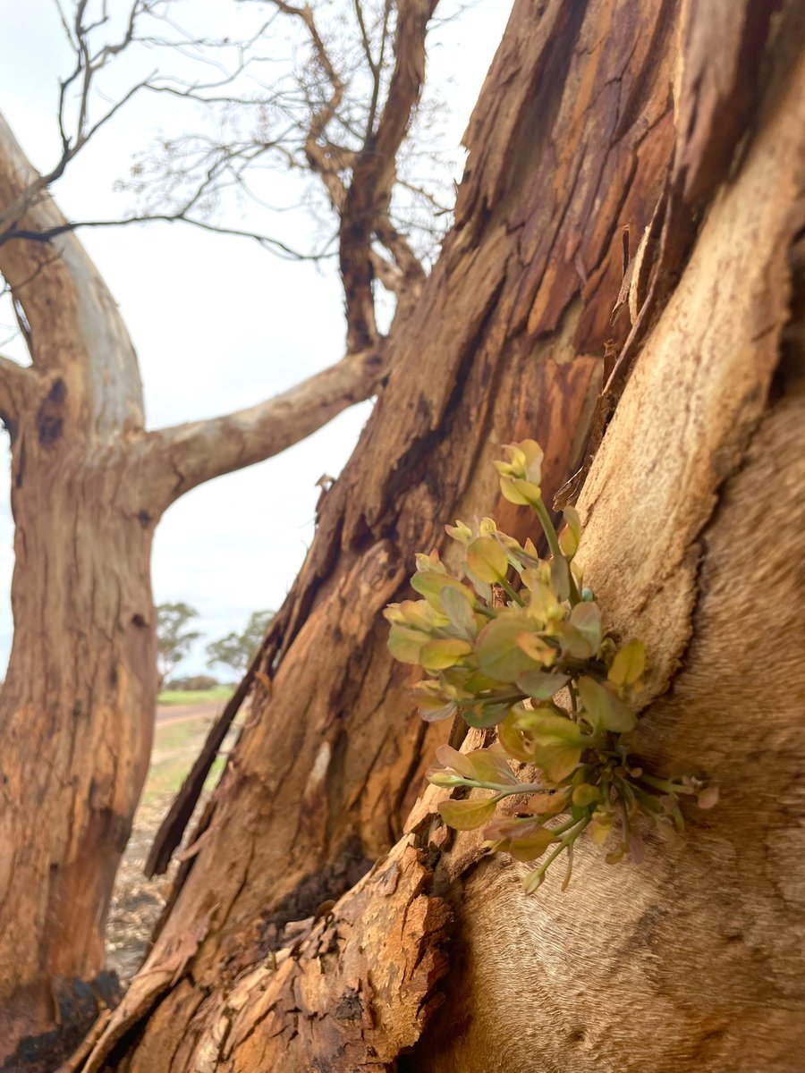 🌾Cindy Stevens tweet media