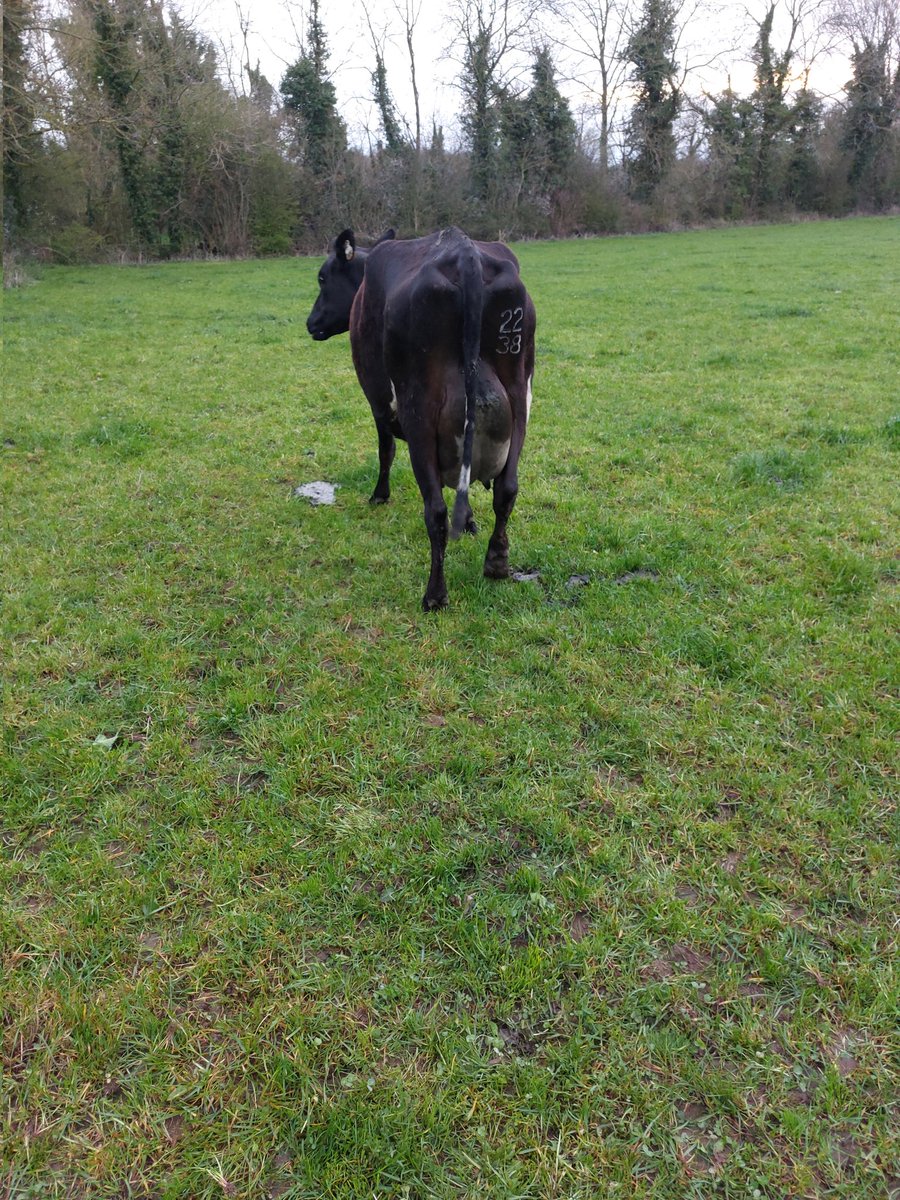 David Kerr tweet media