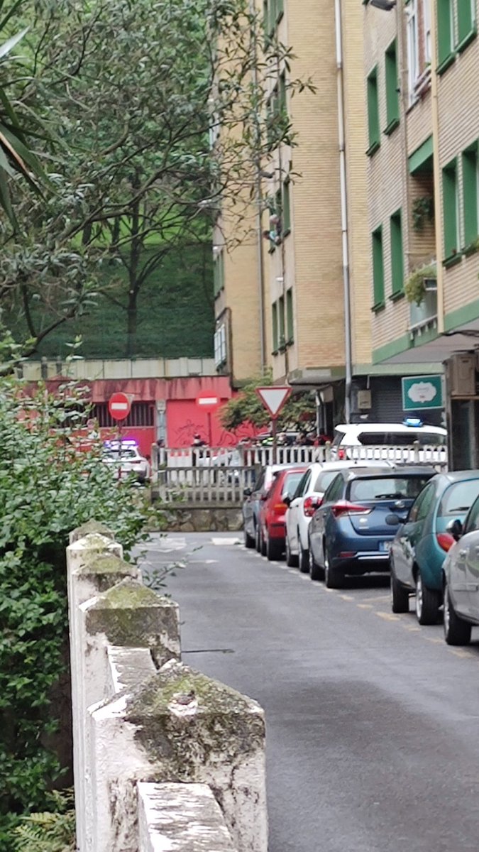 Elsa López tweet media