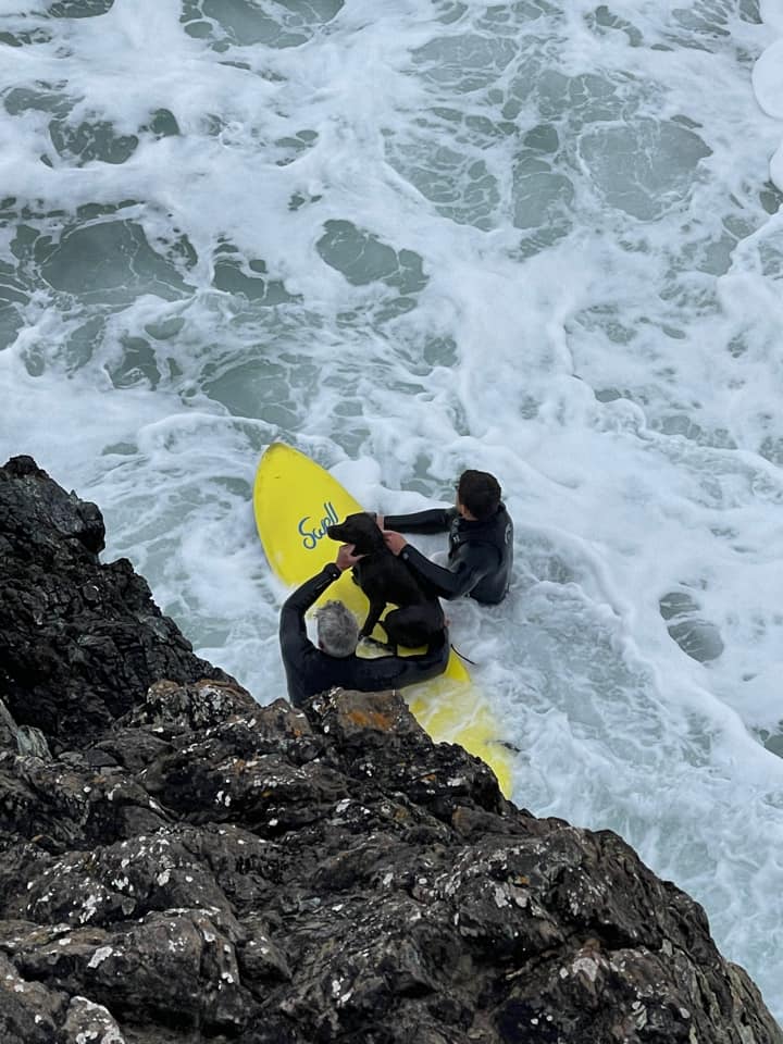 LizardRNLI's tweet photo. 11.4.22 Our crew launched at 1.48pm to reports of a dog over the cliff at Kynance. Mullion &amp; Porthoustock Coastguards also in attendance. With challenging conditions, RNLB Rose was stood down after no sign. @KynanceCoveCafe to the rescue a short time later. Luke &amp; Rudy - HEREOS! https://t.co/TBcZM57dIx