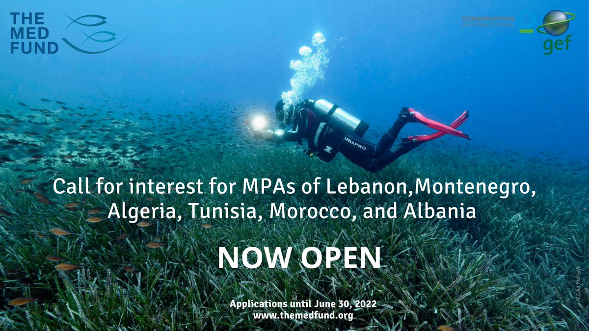 Aujourd'hui, avec le soutien du <a href="/theGEF/">Global Environment Facility (GEF)</a>, nous lançons un appel à manifestation d'intérêt dédié aux AMP de Méditerranée! 🐟🦑🌊
Pays éligibles: Liban, Monténégro, Algérie, Tunisie, Maroc et Albanie. 
Retrouvez toutes les informations: themedfund.org/devenir-benefi…
<a href="/MedPAN/">MedPAN</a> <a href="/SPARACinfos/">SPA/RAC</a>