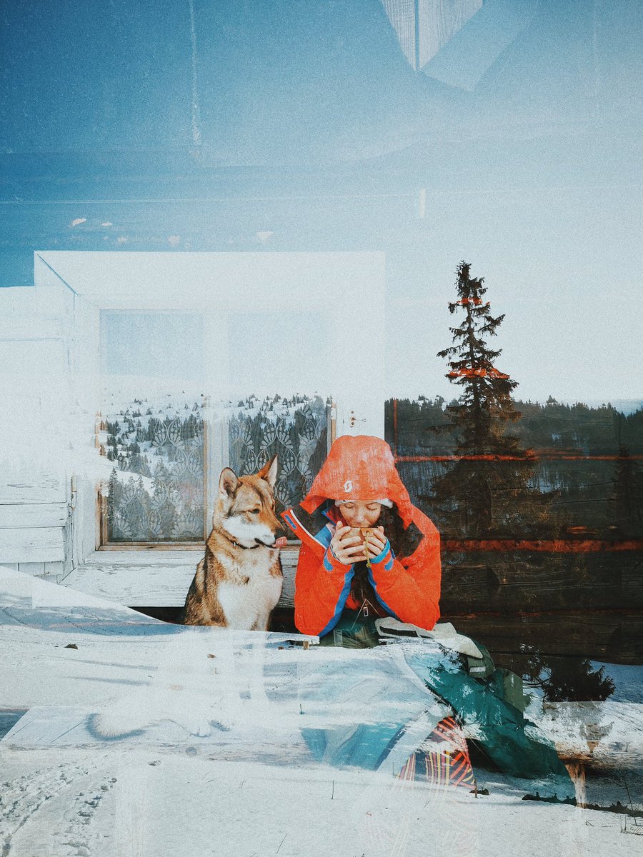 GM ✨ dogs and mountains are the best combo 🤍

#mountains #dogs #slovakia