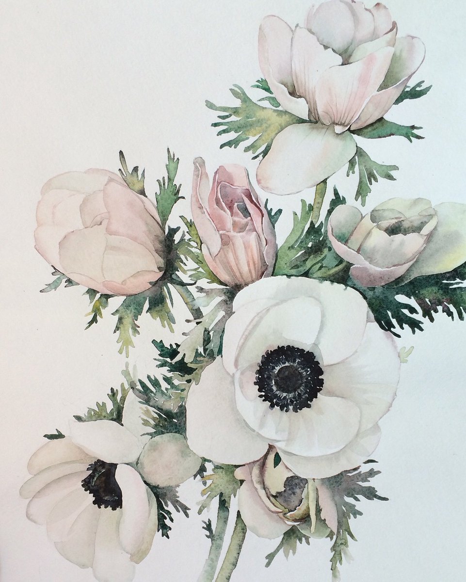 Alexandra Oz tweet media