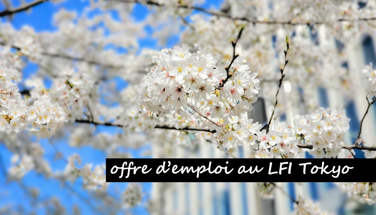 lfitokyo's tweet photo. LE LFI TOKYO RECRUTE UN(E) SECRETAIRE COMPTABLE
Le #LFITokyo recrute en #contratlocal pour l’année scolaire 2022/23, un(e) #secrétairecomptable - poste en CDD à #mitemps 20h/semaine.
Pour #ensavoirplus et #postuler➡️https://t.co/jYAEWQc8WL
@FLTfapee
@ambafrancejp
@aefeinfo https://t.co/zP0YxNBpl8